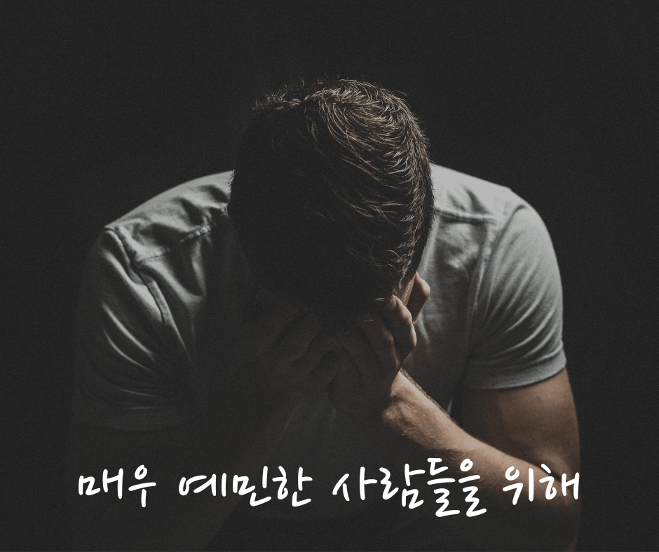 매우 예민한 사람들에게 – 매우 예민한 사람들을 위한 책